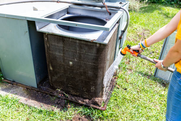 Best Air Vent Cleaning Services  in Waverly, MN