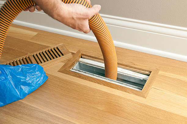 Best Air Duct Cleaning Near Me  in Waverly, MN