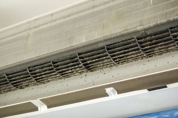 Best Affordable Duct Cleaning Services  in Waverly, MN