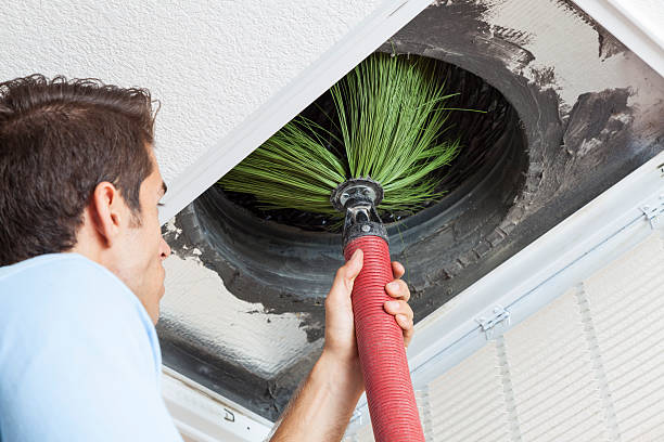 Best Affordable Air Duct Cleaning  in Waverly, MN