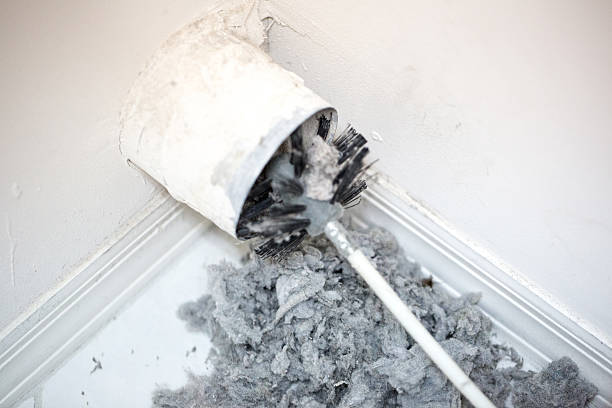Best Professional Duct Cleaning Services  in Waverly, MN